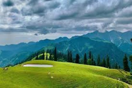 Sharan Forest Tour