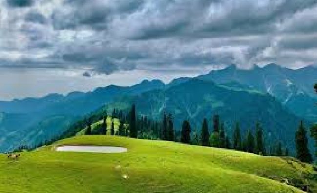 Sharan Forest Tour