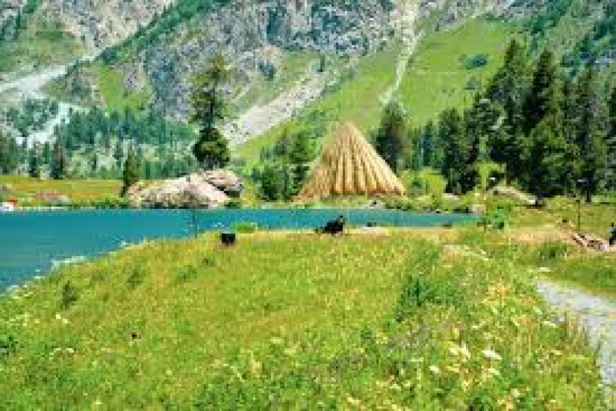 Minimarg & Deosai Tour